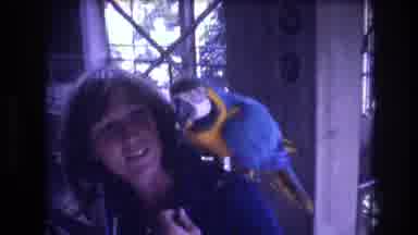 Honolulu Oahu Hawaii USA (1977): A Woman With Her Pet Parrot