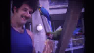 Honolulu Oahu Hawaii USA (1977): An Adult Man In A Tank Top Feeding Large Tropical