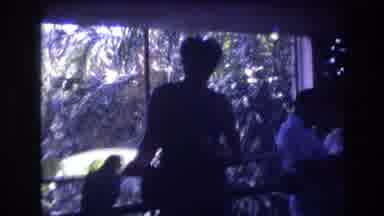 Honolulu Oahu Hawaii USA (1977): A Person Trying To Feed Some Snack Food Item To A