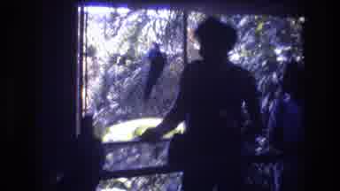Honolulu Oahu Hawaii USA (1977): People Watch Birds In Their Enclosure As They Fly