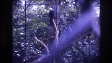 Honolulu Oahu Hawaii USA (1977): Feeding A Hyacinth Macaw A Nut Which He Takes,