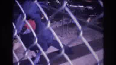 Honolulu Oahu Hawaii USA (1977): Beautiful Hyacinth Macaw Bird Transferring