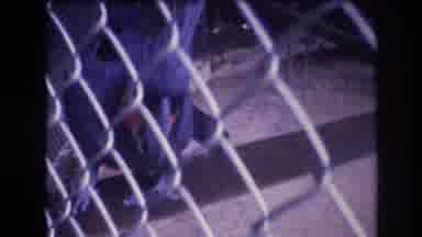 Honolulu Oahu Hawaii USA (1977): Person Standing And View Of A Parrot Inside A