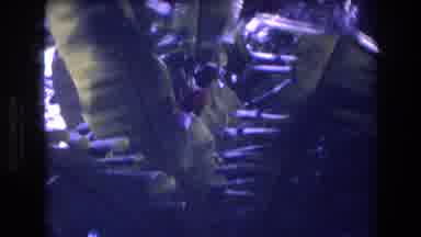 Honolulu Oahu Hawaii USA (1977): Camera Slowly Pans Thru Dense Foliage To Capture