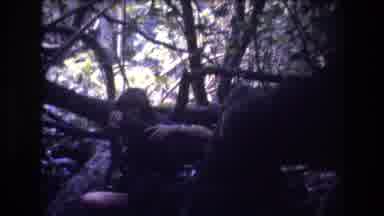 Honolulu Oahu Hawaii USA (1977): Excursion In The Forest And Care For Wild Animals