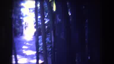 Honolulu Oahu Hawaii USA (1977): Along Came The Forest There Is A Camera Sitting