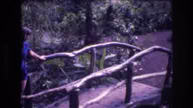 Honolulu Oahu Hawaii USA (1977): Pretty Lady Waiting For Her In The Woods On A