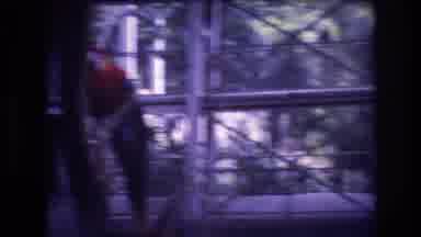 Honolulu Oahu Hawaii USA (1977): Many Colorful Parrots Are Perched On A Series Of