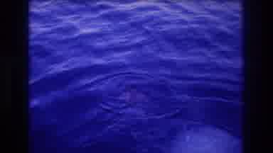 Acapulco Mexico (1982): A Man In Shorts Dives Into A Body Of Water Surrounded By