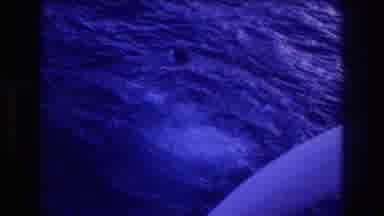 Acapulco Mexico (1982): Fresh Waters In Development