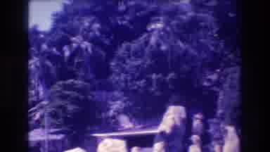 Acapulco Mexico (1982): Shoreline That Includes Rocks, Trees, Shrubs And Not Much