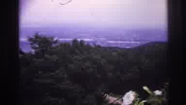 France (1967): Floral Bouquet Centered In A Vintage Panoramic View Above The