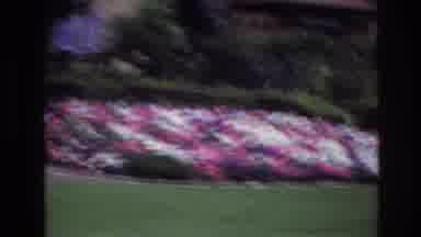Ottawa Canada (1967): A Neighborhood With Good And Big Houses And A Flowery And