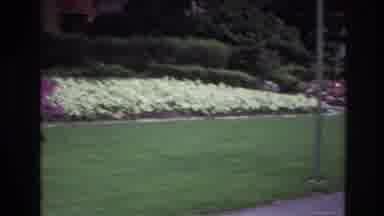 Ottawa Canada (1967): A Beautifully Gardened Lawn With Yellow, Purple And White