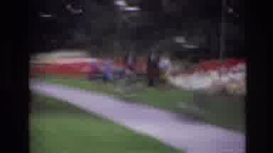 Ottawa Canada (1967): Beautiful Green Grass And Tree