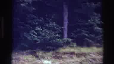 Ottawa Canada (1967): Family Enjoys Picnic In The Forest