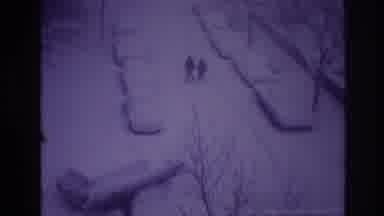 Ottawa Canada (1967): Cold Winter Snow People Trees Frozen Wind Cars White Pair