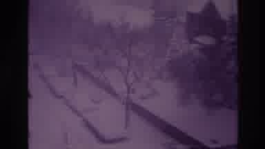 Ottawa Canada (1967): Snowstorm Rages Onto A Street With Cars Covering Them With