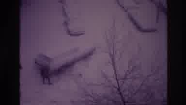 Ottawa Canada (1967): Car Stuck In The Snow Because It Is Christmas And It Is Very