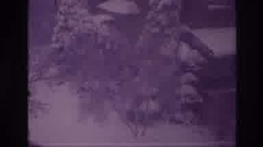 Ottawa Canada (1967): Winter Storm Brings Lots Of Snow And Wind, Creating A Pretty