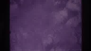 Ottawa Canada (1967): Wind Blowing Snow Off Branches Of A Tree As A Person Steps