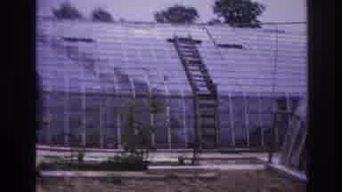 Paris France (1967): Greenhouses And A Man Working On The Ceiling Panes