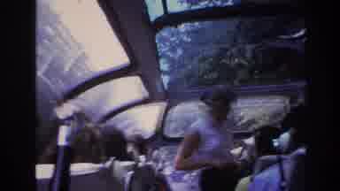 Paris France (1967): Tour Bus Driving Through The Forest And Trees, Tour Guide