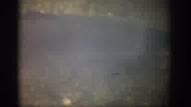 Colorado USA (1959): Big Fish In Shallow Water