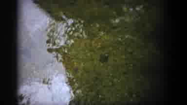 Colorado USA (1959): Fish In The Lake And Girl Walking