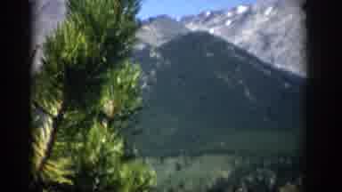 Colorado USA (1959): Mountain View, Covered In Evergreen Trees And Snow, Under A