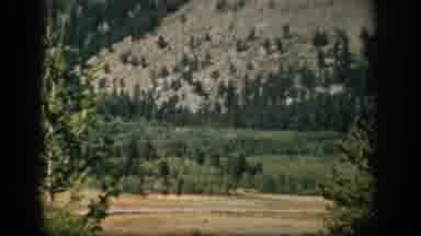 Colorado USA (1959): Mountain Range Nature Tree Landscape Old Farm Woods Nature