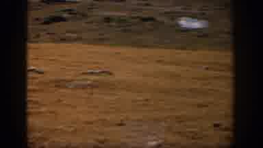 Colorado USA (1959): Nature Showcased In An Empty Grassland With Rocks And Hills
