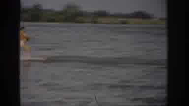 Colorado USA (1959): Water-Skier Being Pulled By A Boat Passing Another Boat Near