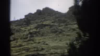 Colorado USA (1959): Landscape Of Mountain With Trees And Rocks Hillside Trees