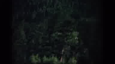 Colorado USA (1959): A Video Showing Two Footages Of A Forest Where A Car Was