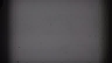 Florida USA (1959): White Screen With Some Black Points That Seems To Be Related