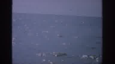 Florida USA (1959): There's Nothing Else In The Picture But The Ocean And That's