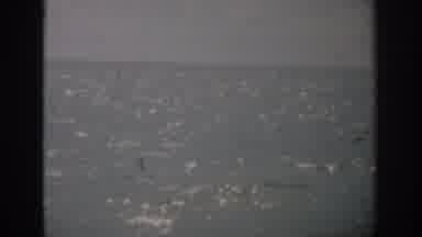 Florida USA (1959): A Video Camera Is Filming An Empty Rippling Sea With A