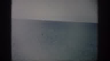 Florida USA (1959): The Sea With A Boat On The Horizon And Then A Man In Swim