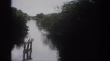Florida USA (1959): Recording Of A Flat Land With Grass And Trees And A River
