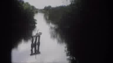 Florida USA (1959): Trees Bushes And River Water Boat Landscape With Cloudy Sky