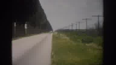 Florida USA (1959): Street Down The Road And Near The Grass