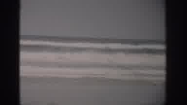 Florida USA (1959): Sea And Birds And Beach