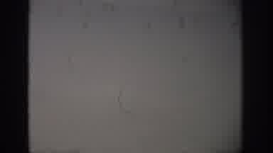 Florida USA (1959): Seagulls Run Freely Around Isolated Beach As Waves Crash On