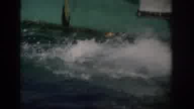 Florida USA (1959): A Dolphin Jumps Out Of A Tank Of Water In Front Of An Audience