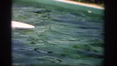 Florida USA (1959): Animal Skills Doing Good