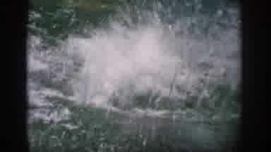 Florida USA (1959): Our Visit To The Aquarium Was A Lot Of Fun Especially When We