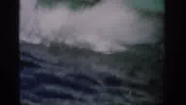 Florida USA (1959): Marine Studios Dolphin Leaps Up Three Times To The Hand Of A