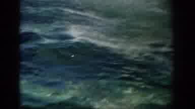 Florida USA (1959): Dolphin Jumps From Tank To Catch Food In Mid Air