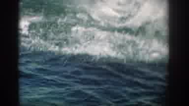 Florida USA (1959): Dolphins In An Aquarium Performing A Trick For A Reward Small